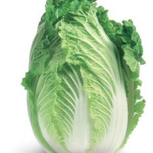 Wong Bok Chinese Cabbage