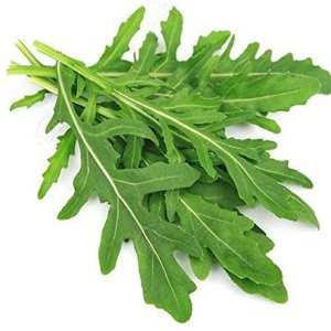 Wholesale Green Mizuna Seeds