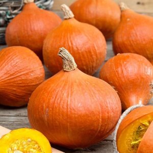 Wholesale Pumpkin Uchiki Kuri Bulk