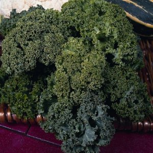 Borecole Curly Kale