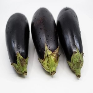 Wholesale Aubergine Black Beauty Bulk
