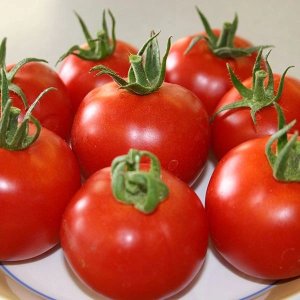 Tomato Orkado F1