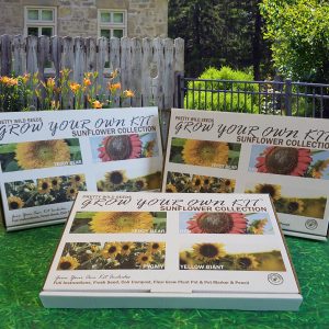 Products 20 Grow Your Own Kits