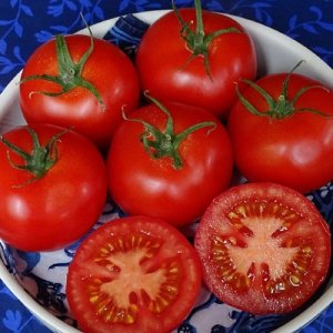 Tomato Red Dragon F1
