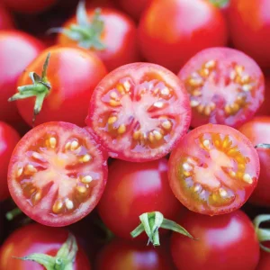 Tomato Baby Boomer F1