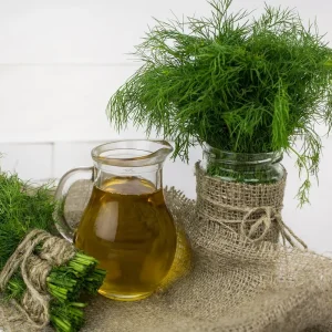 Wholesale Dill Herb Seeds