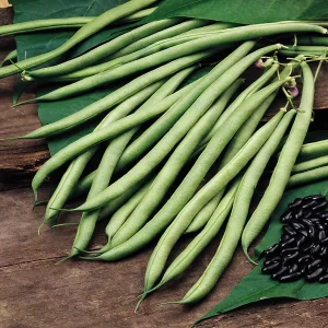 Wholesale Bean Climbing French Bean Cobra Bulk