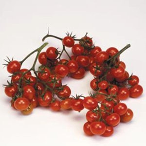 Tomato Christmas Grapes