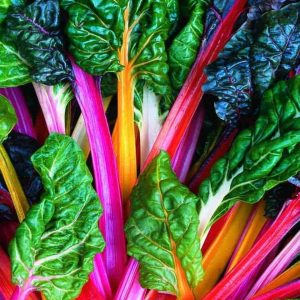 Wholesale Swiss Chard Mixed Bright Lights
