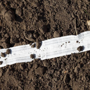 Products 37 Seed Tapes