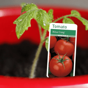 Products 31 Plant Labels