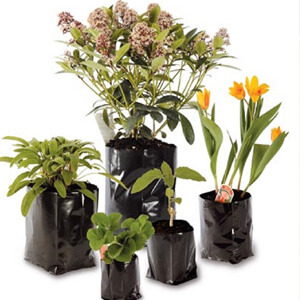 Products 34 Pots & Hanging Baskets