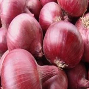 Wholesale Onion Seeds Red Karmen Bulk