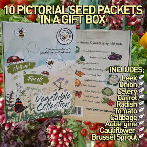 Vegetable Seeds Collection Gift Box
