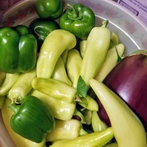 Wholesale Sweet Pepper Sweet Banana Bulk