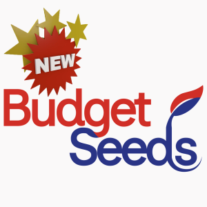 Products 3 New Additions