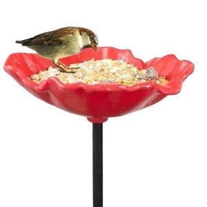 Wild Bird Poppy Feeders