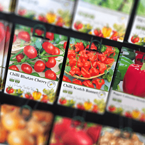 Products 30 Pictorial Seed Packets