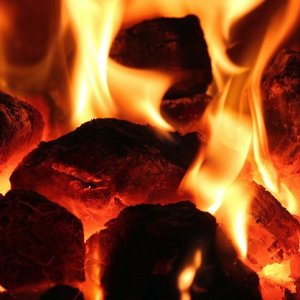 Products 24 Logs, Sticks & Coal