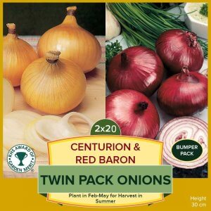 TWIN PACK Centurion Onion Sets & Red Baron Onion Sets (Pre-Order)