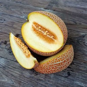 Wholesale Melon Cantaloupe Ananas Pineapple Melon