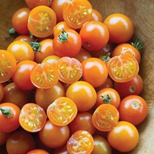 Tomato Sungold Seeds F1