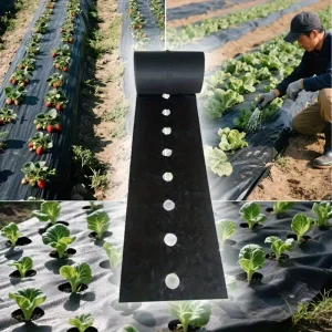 Black Mulch Film Weed Barrier with Planting Hole Gardening Block Mulch 10m Strawberries